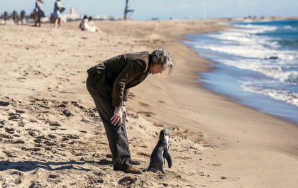 Der Pinguin meines Lebens
