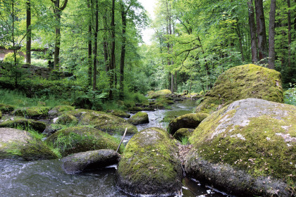 wandern