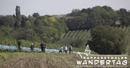 Weinlandwandertag Ruppersthal