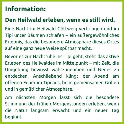 Flyer Seite 2 Nacht unter Bäumen
