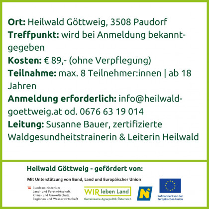 Flyer Seite 3 Nacht unter Bäumen