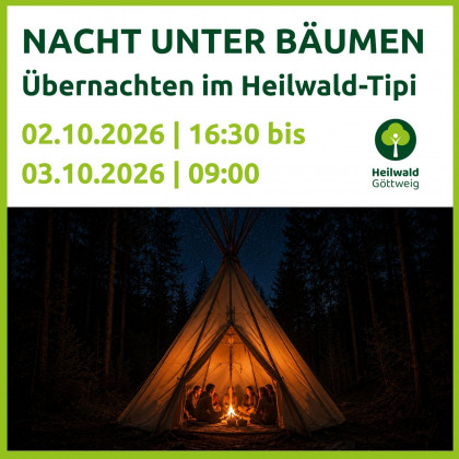Flyer Seite 1 Nacht unter Bäumen