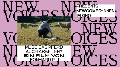 Muss das Pferd auch arbeiten?