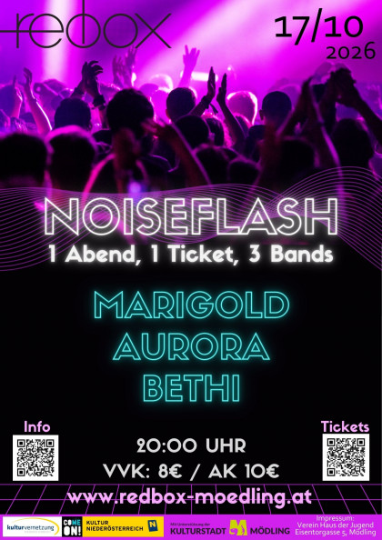 Noiseflash 17.10.26 Flyer