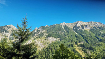 Dürrenstein