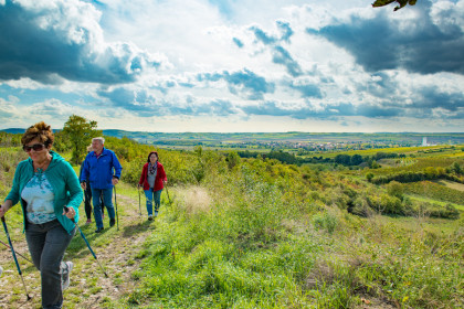 Kellergassen-Weingarten Wanderung