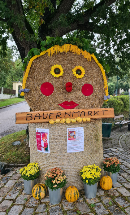 Bauernmarkt
