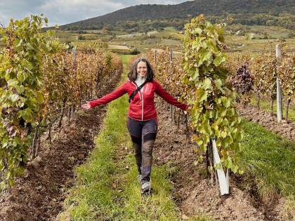 Durch den herbstlichen Weingarten spazieren