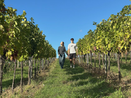 Gemütlich im Weingarten flanieren