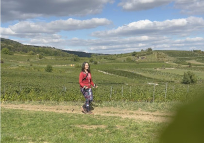 Weinwandern in Pfaffstätten