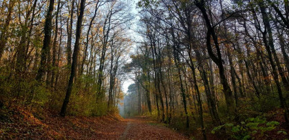 herbstliche Wanderung