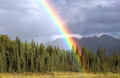Regenbogen