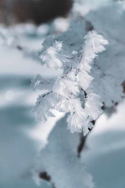 Schneekristalle