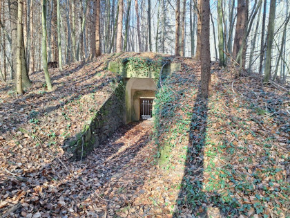 Das Römergrab im Wienerwald  " in der Au 
