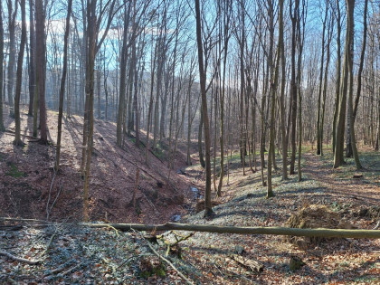 Herbstlicher Wienerwald