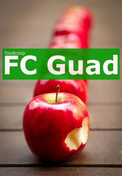 FC Guad Mistelbach
