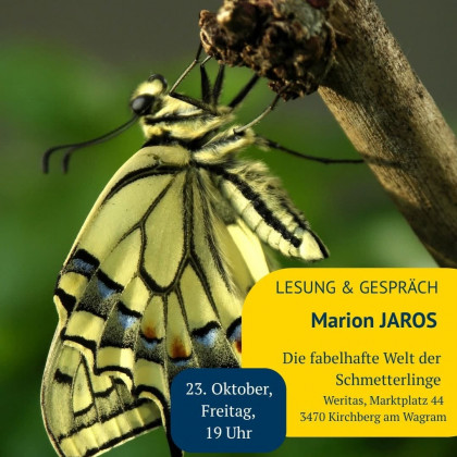 Buchpräsentation