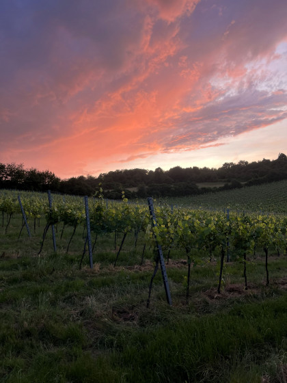 Sunset Tasting