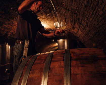 Weingut Fritz Salomon
