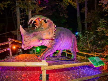 Ab 5. November 2026 geht’s auf Sternensuche im Lichterwald!