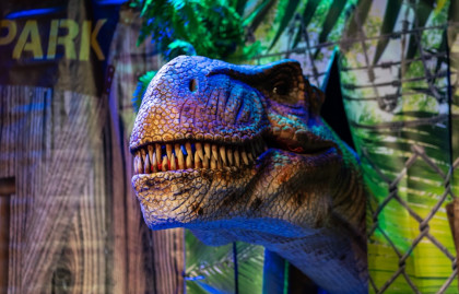 trex 