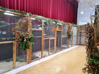 Ausstellung
