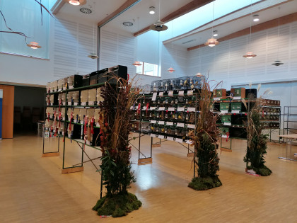 Ausstellung