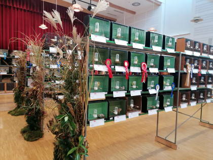 Ausstellung
