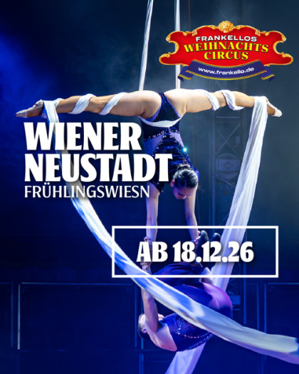 Weihnachtscircus