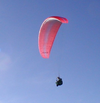 Flugschule Fly Hohe Wand