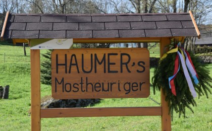 Haumer