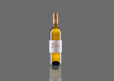 Eine Flasche Weinviertel DAC vom Bio-Weingut Zöchmann