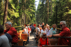 Cabrio-Wagen