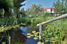 Einer der Teiche im Schaugarten
