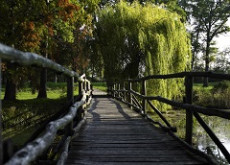 Schlosspark Eckartsau