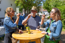 Kellergassenfest im Weinviertler Museumsdorf Niedersulz