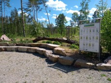 TEH Kräuterschaugarten