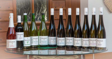 Sortiment Weingut Höllmüller