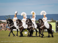 Pferdefest auf Schloss Hof