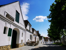 Kellergasse Mailberg