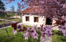 Römerstadt Carnuntum
