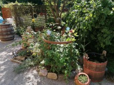 Upcycling Garten