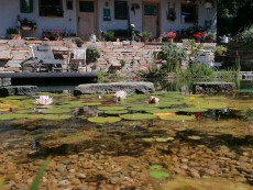 Upcycling Garten, Schwimmteich