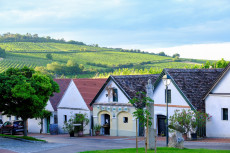 Weingut Dürnberg/Kellergasse Falkenstein