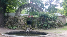 Englischer Garten