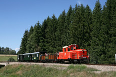 Wackelstein-Express