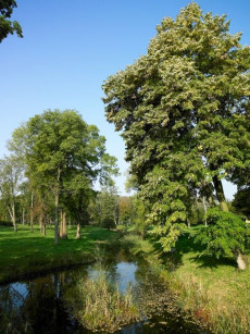 Blick auf den Fadenbach