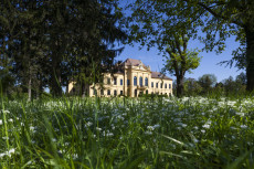 Schloss Eckartsau