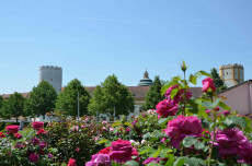 Stiftspark Melk
