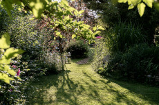Rosenbauchs Restaurantgarten